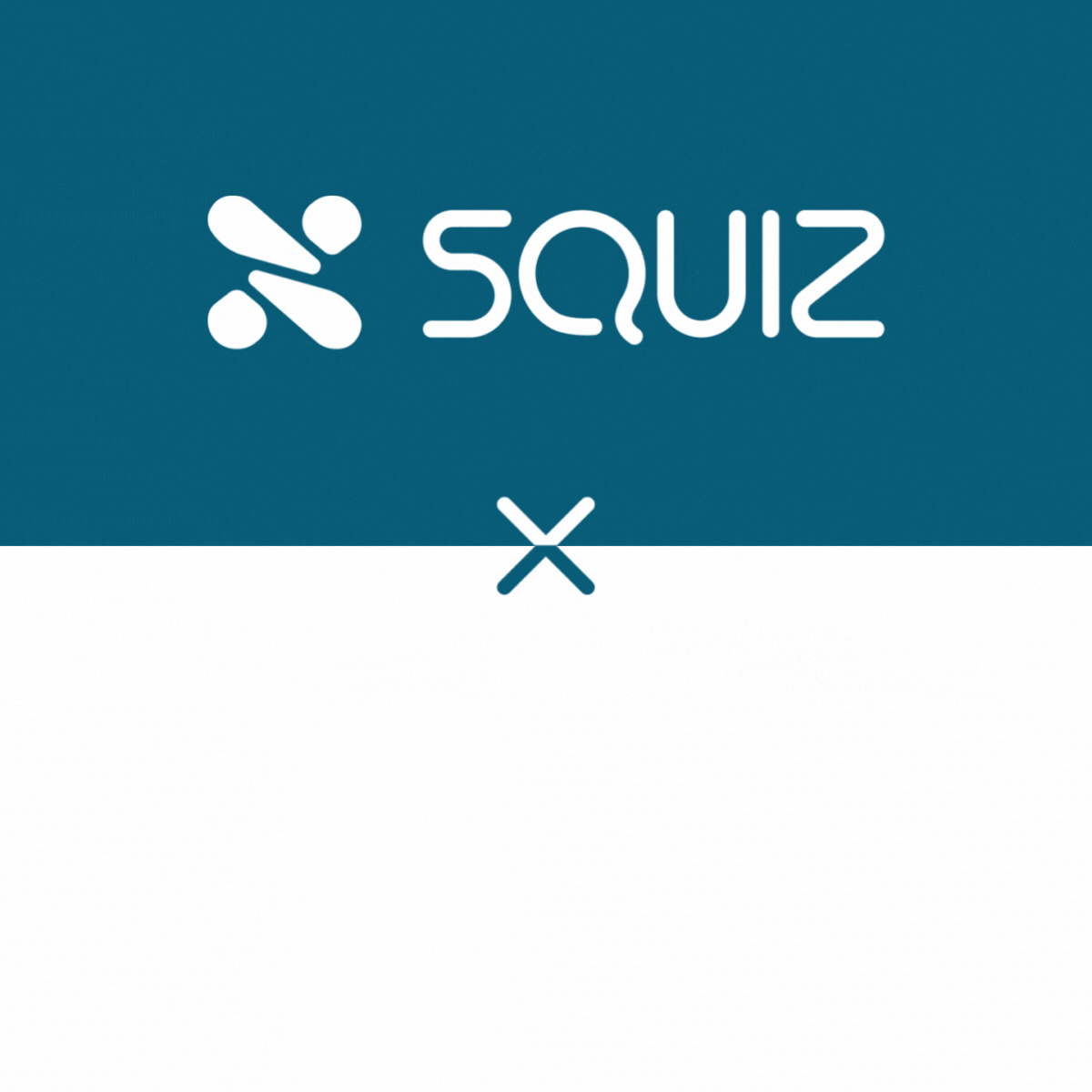 A dynamic animation featuring the Squiz and High Monkey logos.